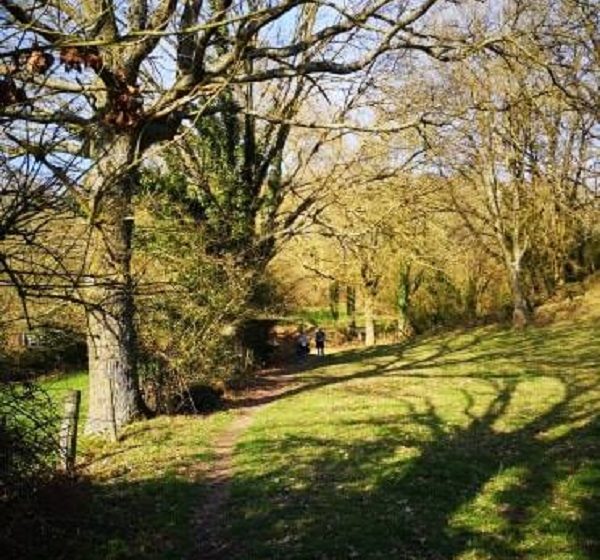Randonnée “Les bords de Sèvre”