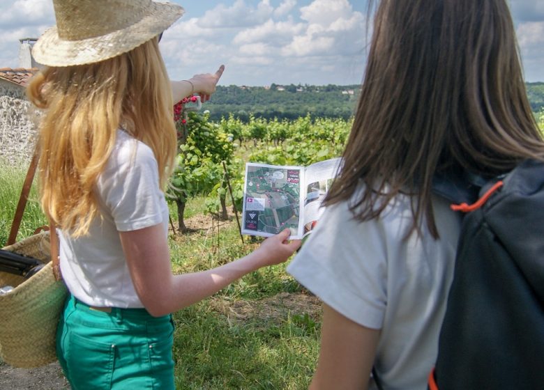 Balade et pique-nique dans les vignes au Domaine des Galloires