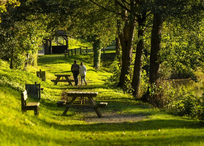 Etang de pêche de Rochefort