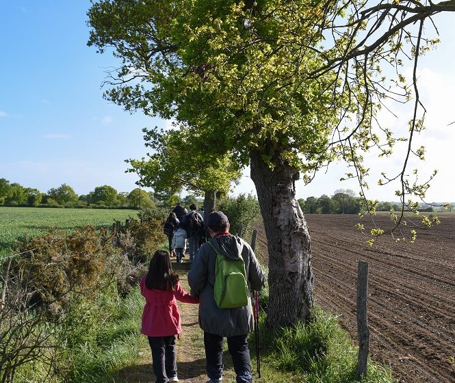 RANDONNÉE L’AVRESNE