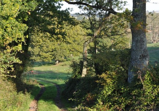 Randonnée “La cour”