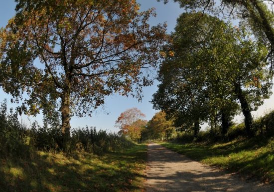 SENTIER D’INTERPRÉTATION LA BATAILLE DE TORFOU