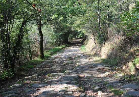 Sentier d’interprétation “La Bataille de Torfou”