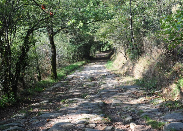 Sentier d’interprétation “La Bataille de Torfou”