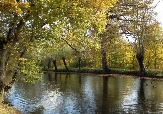 Randonnée “Les 6 chênes”