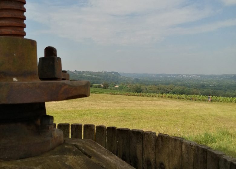 Randonnée “Loire et coteaux”