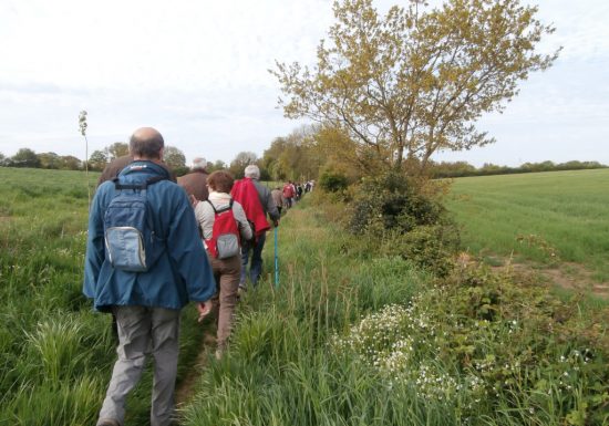 Randonnée “Autour des chênes”