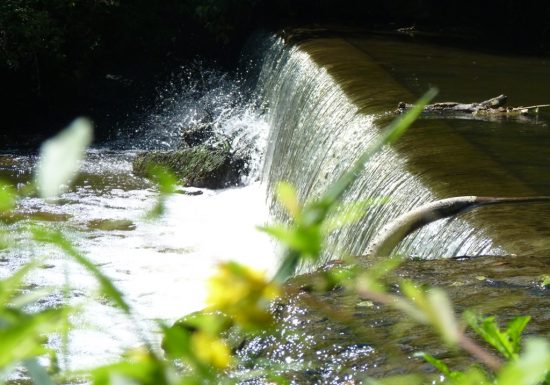 Randonnée “De Courrosé à Gévrise”