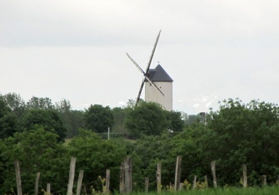 Randonnée “Des moulins à la vigne”