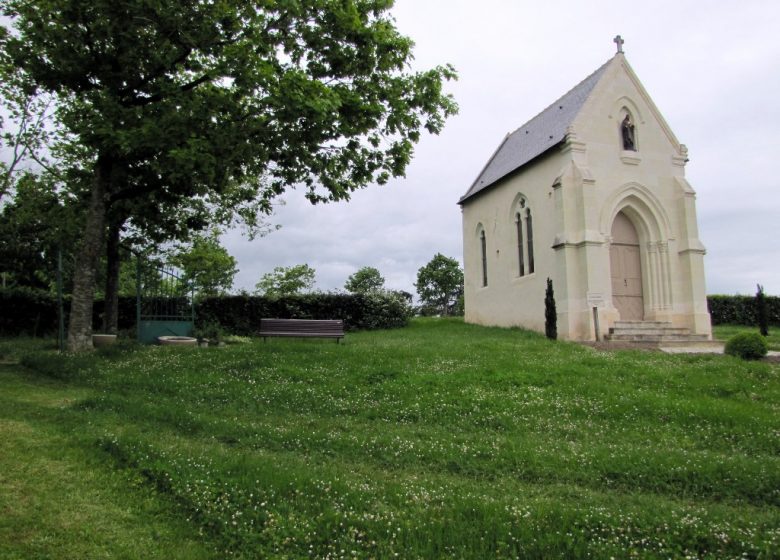 Randonnée “Des moulins à la vigne”