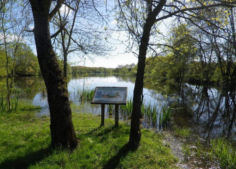 BOIRES DE LA ROMPURE ET DE LA NIGAUDIÈRE