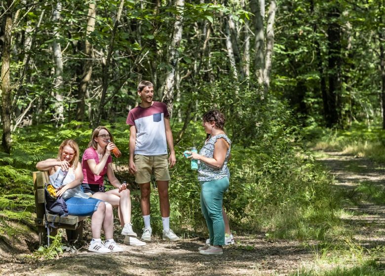 Randonnée “Entre forêt et bocage”