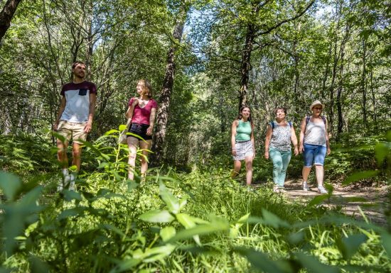Randonnée “Entre forêt et bocage”