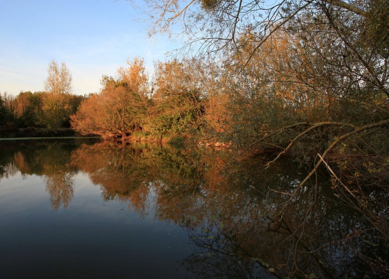 Drain – Entre Loire et Vignoble