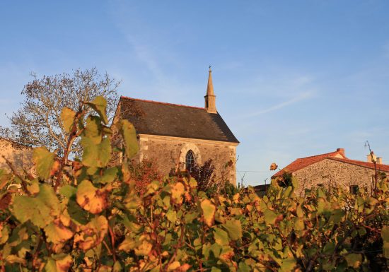 Drain – Entre Loire et Vignoble