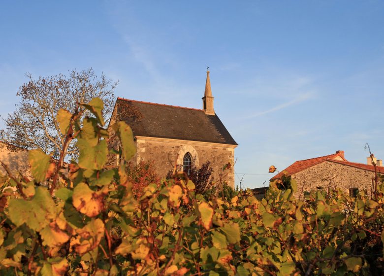 Drain – Entre Loire et Vignoble