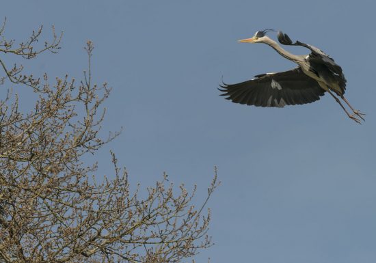 Randonnée “Èvre et Loire”