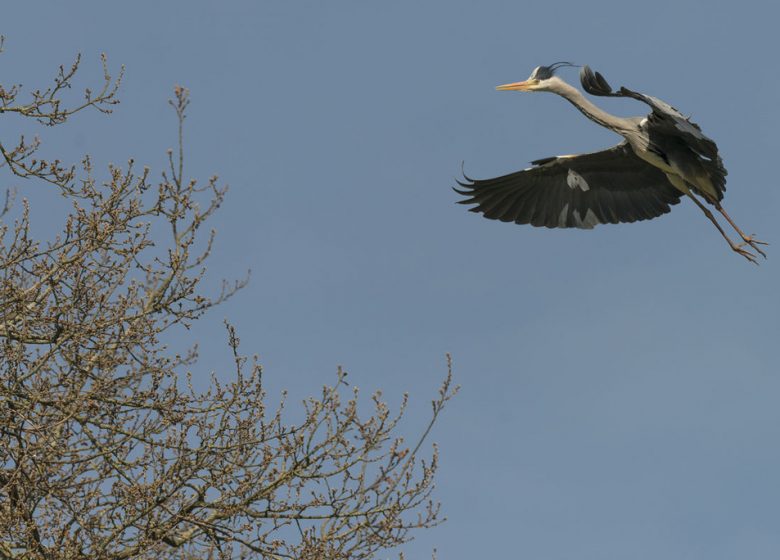 Randonnée “Èvre et Loire”