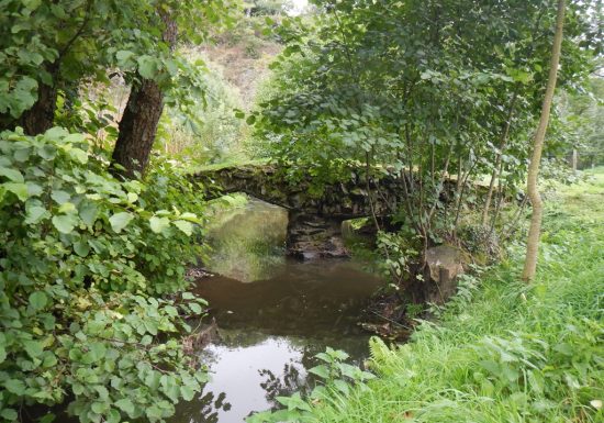 Randonnée “Au fil du Laurent”