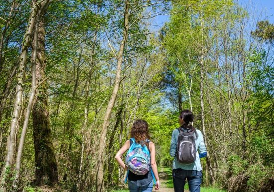 RANDONNÉE DE LA FORÊT À LA LANDE