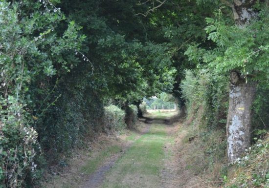 Randonnée “Grenet”