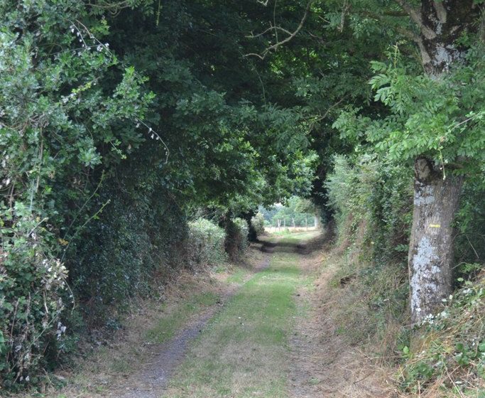 Randonnée “Grenet”