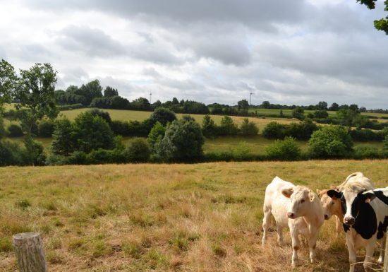 Randonnée “Grenet”