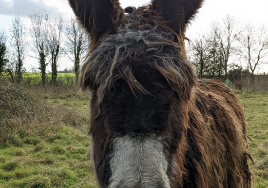 Randonnée “La Droille et l’Armazie”