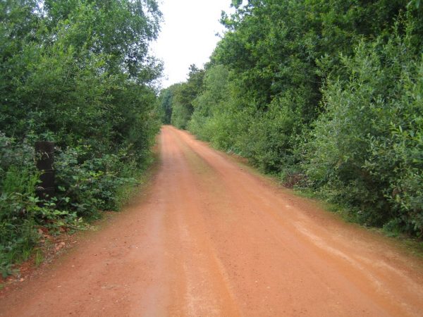 RANDONNÉE DANS LA FORET DE LEPPO (ESPACE NATUREL SENSIBLE)