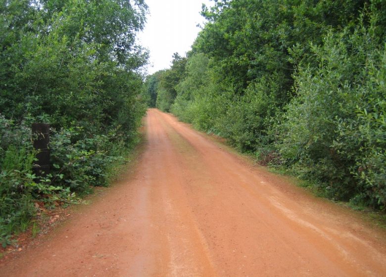 Randonnée “Les biches”