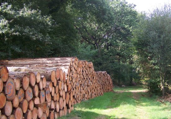 RANDONNÉE LES HAUTS DU DORÉ