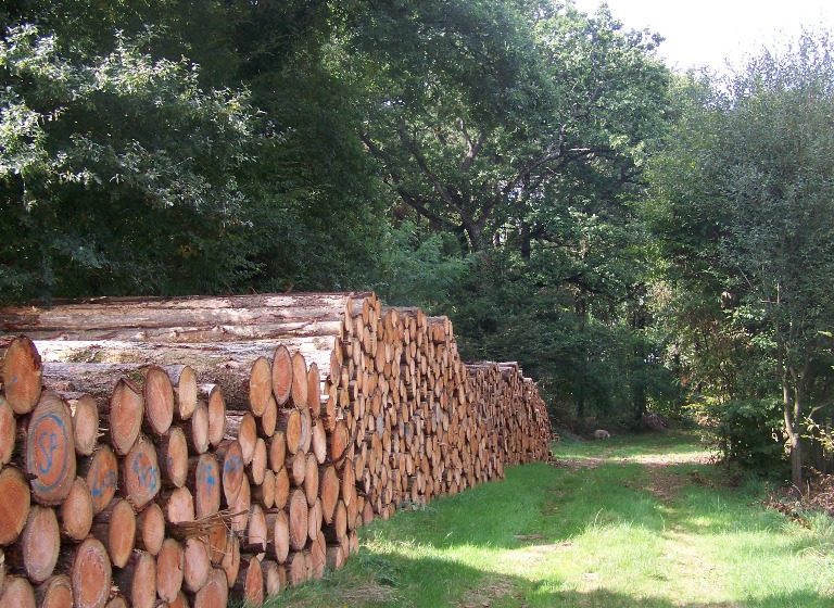 Randonnée “Les Hauts du Doré”