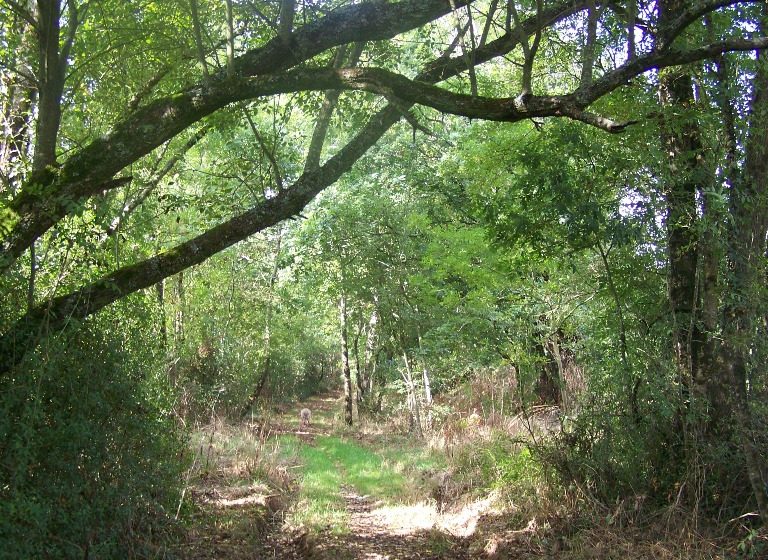 Randonnée “Les Hauts du Doré”