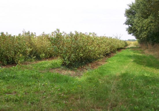 Randonnée “Les Hauts du Doré”