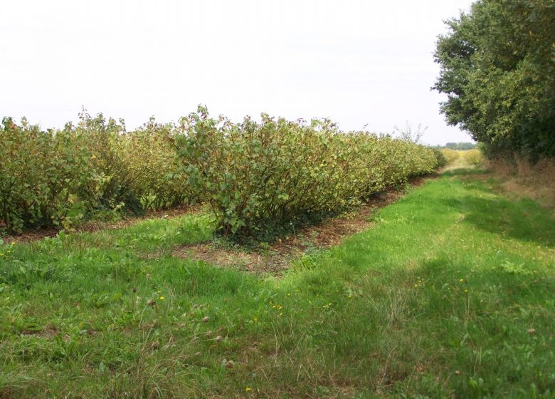 Randonnée “Les Hauts du Doré”