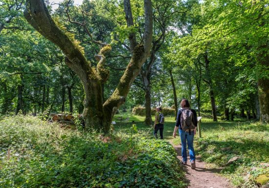 GR3®, de La Pommeraye à Champtoceaux