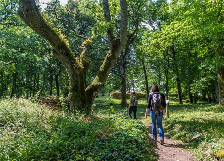 GR3®, de La Pommeraye à Champtoceaux