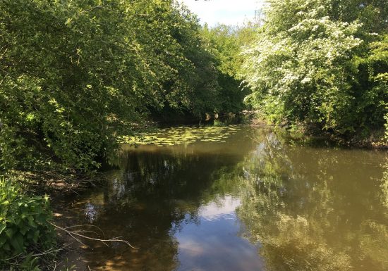 Randonnée “Le Moulin Neuf”