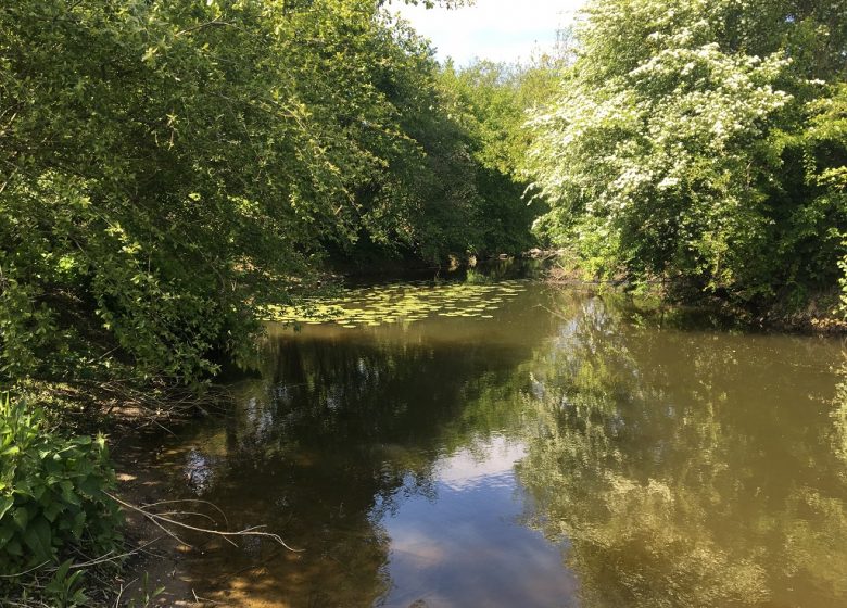 Randonnée “Le Moulin Neuf”