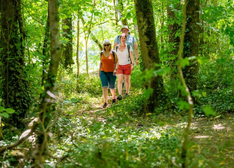 Panneau patrimoine Vallée de l’Èvre : site de la Gautrêche parc et château
