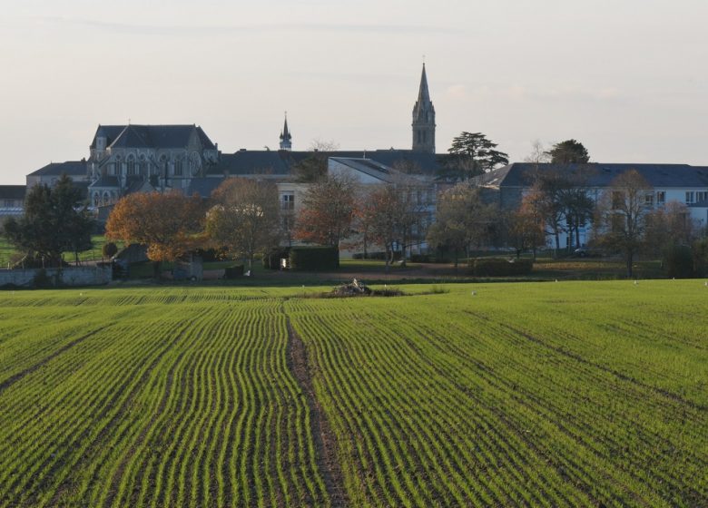 RANDONNÉE LA BATAILLE