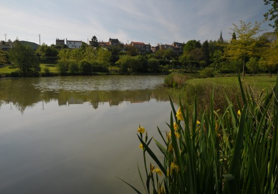 GR® de Pays “Sèvre et Maine”
