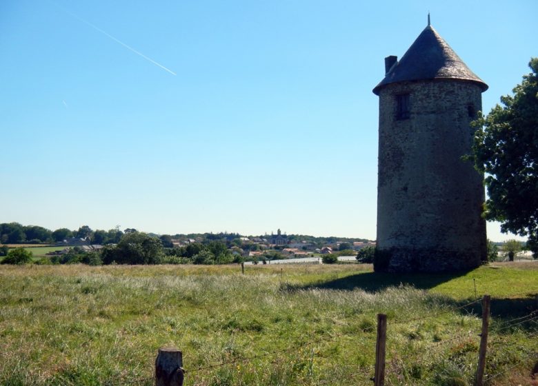Randonnée “Des moulins à la vigne”