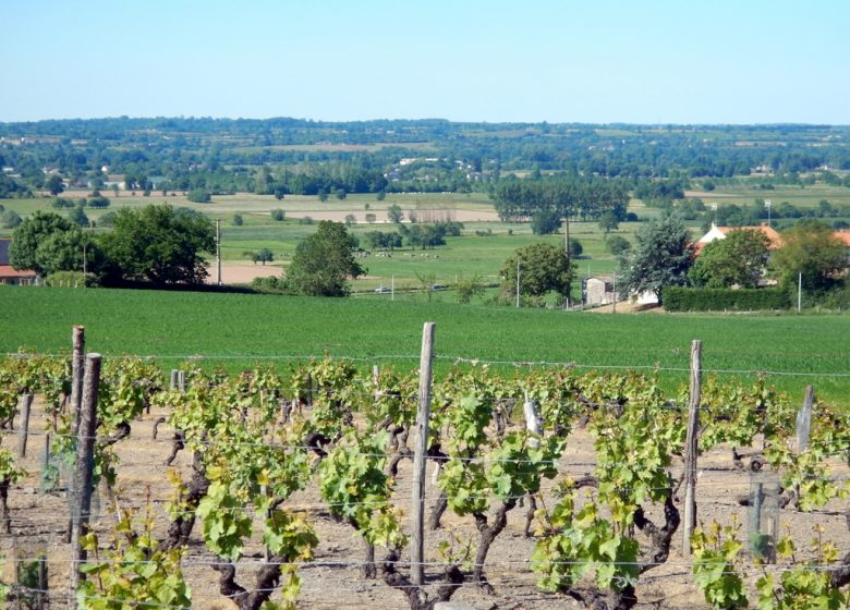 GR3®, de La Pommeraye à Champtoceaux