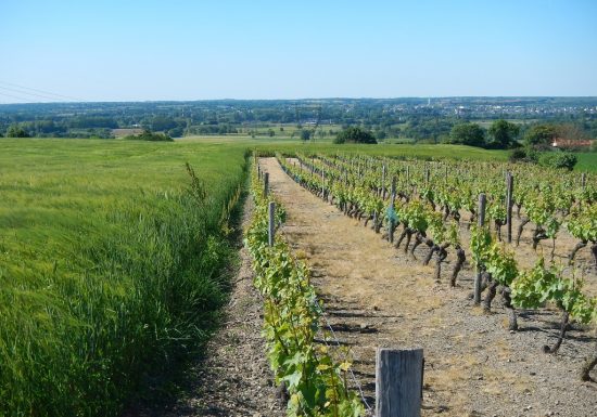 Le Mesnil-en-Vallée