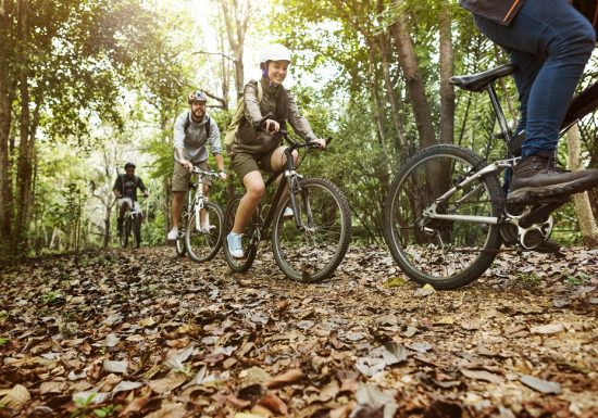 Circuit VTT “Le sentier des crêtes”