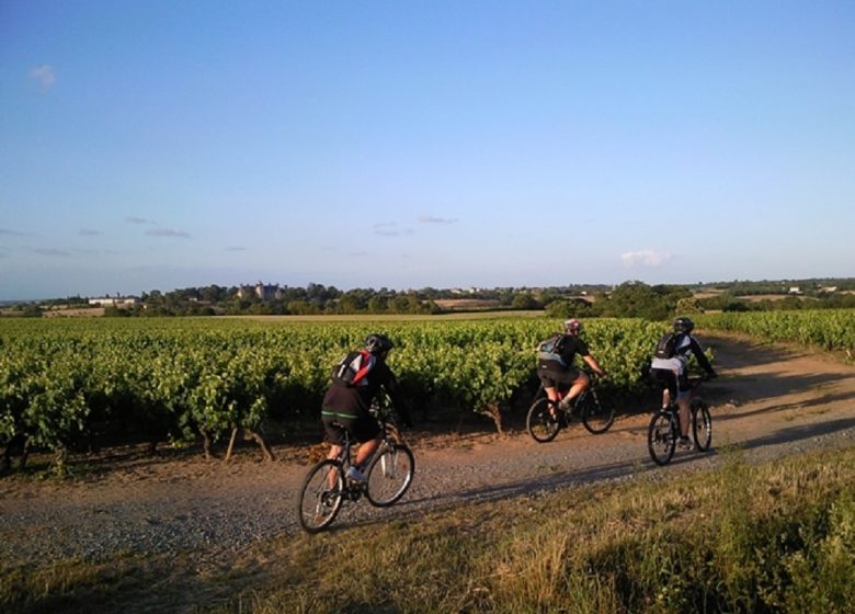La rando du Cochon grillé