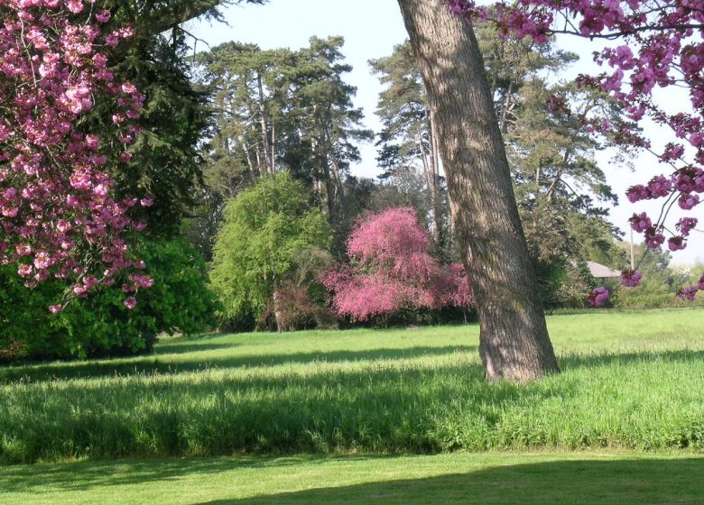 Bain de forêt et de sons au Parc du Martreil