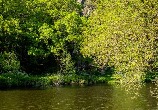 Sentier d’interprétation “Le Rocher du Manis” /!\ Fermé temporairement