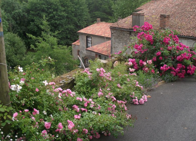 Gîte le Moulin Neuf